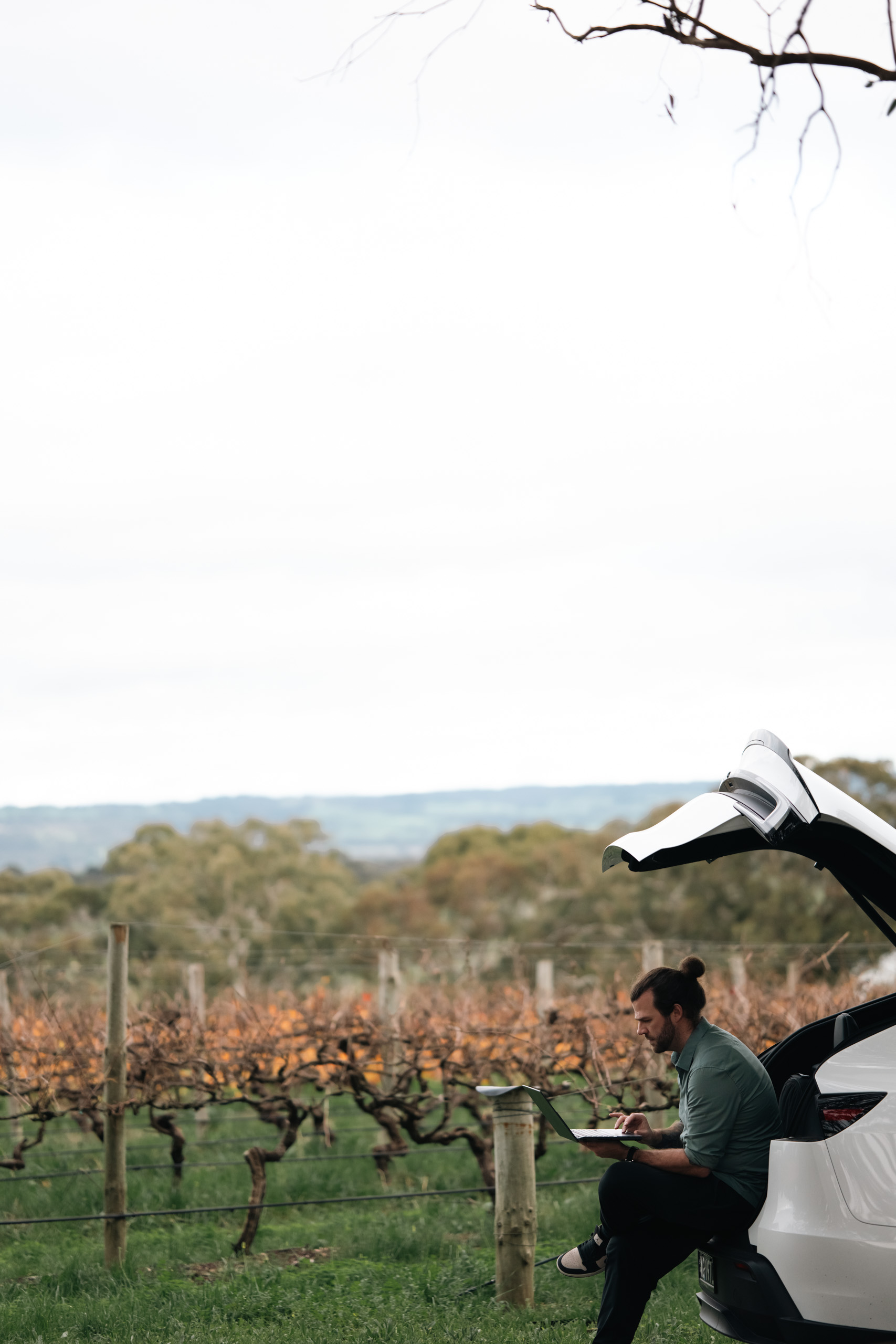 Harley from Redshift working on a laptop by the tailgate, out among the vines