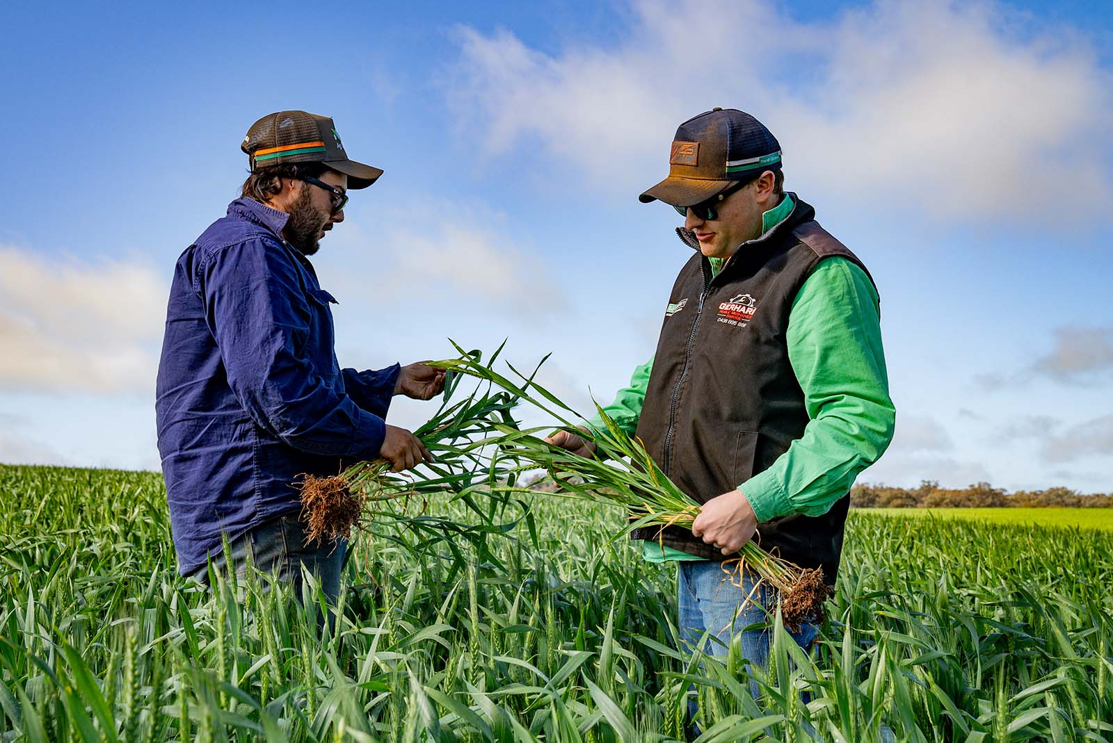 Crop research field trial